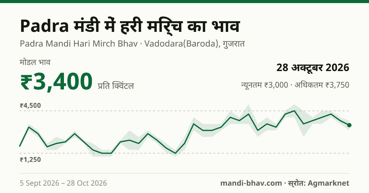 Padra मंडी में हरी मिर्च का भाव 28 अक्टूबर 2026: मोडल ₹3,400 प्रति क्विंटल, भाव के रुझान का चार्ट