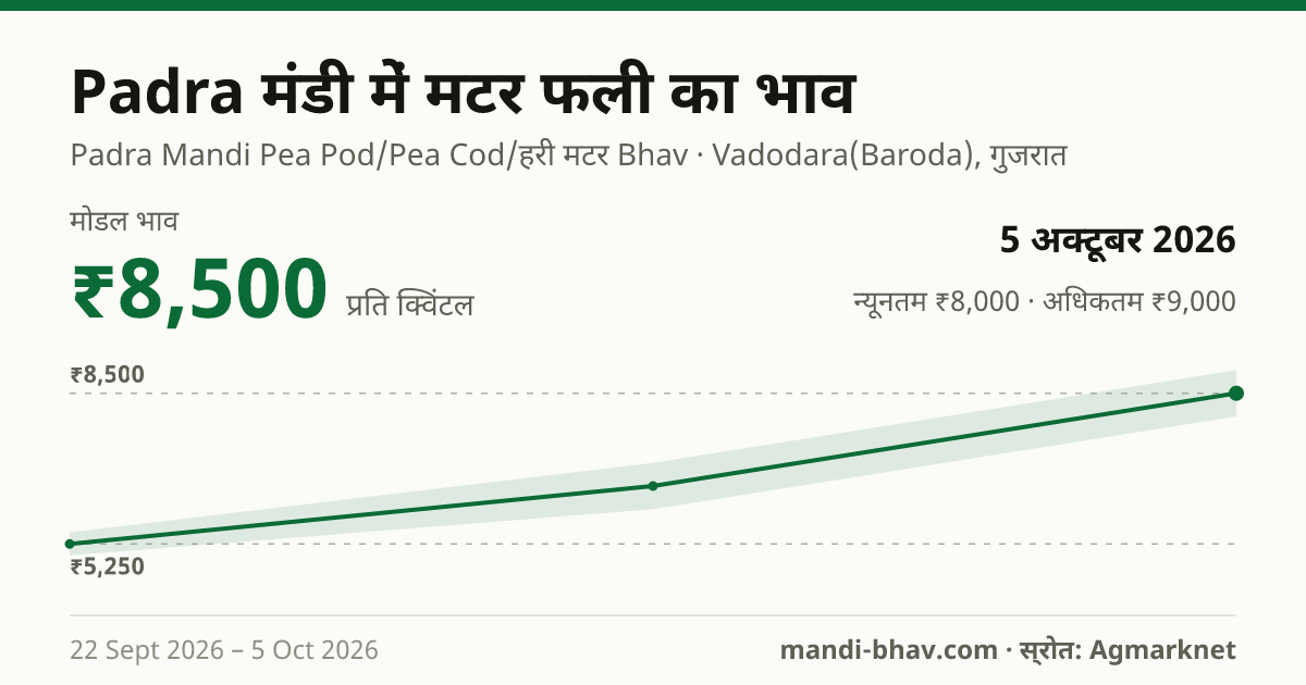 Padra मंडी में मटर फली का भाव 5 अक्टूबर 2026: मोडल ₹8,500 प्रति क्विंटल, भाव के रुझान का चार्ट