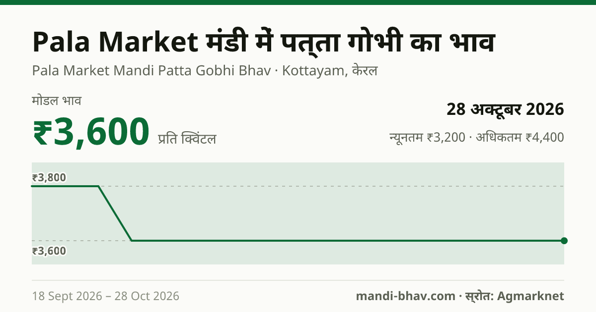 Pala Market मंडी में पत्ता गोभी का भाव 28 अक्टूबर 2026: मोडल ₹3,600 प्रति क्विंटल, भाव के रुझान का चार्ट
