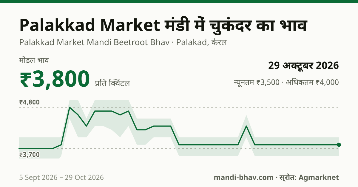 Palakkad Market मंडी में चुकंदर का भाव 29 अक्टूबर 2026: मोडल ₹3,800 प्रति क्विंटल, भाव के रुझान का चार्ट