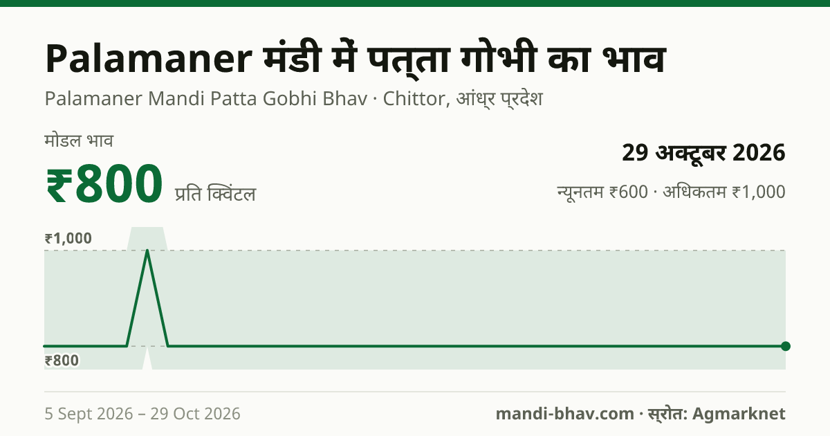 Palamaner मंडी में पत्ता गोभी का भाव 29 अक्टूबर 2026: मोडल ₹800 प्रति क्विंटल, भाव के रुझान का चार्ट