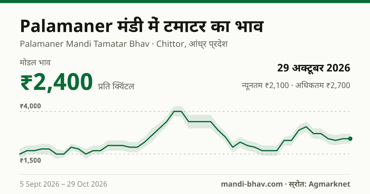 Palamaner मंडी में टमाटर का भाव 29 अक्टूबर 2026: मोडल ₹2,400 प्रति क्विंटल, भाव के रुझान का चार्ट