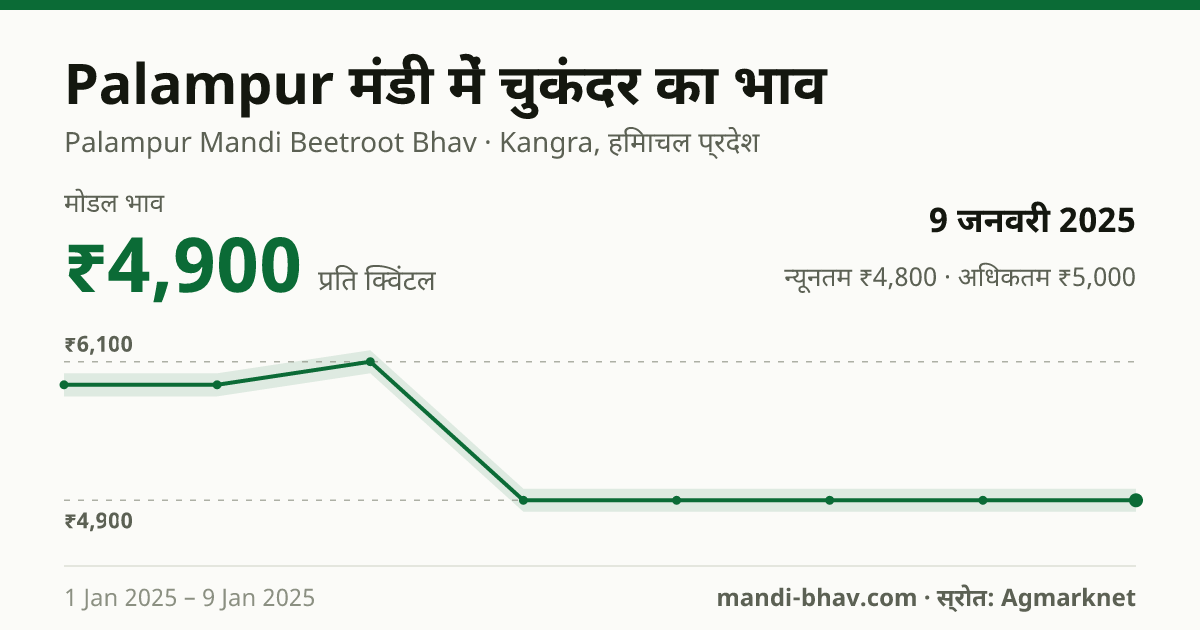 Palampur मंडी में चुकंदर का भाव 9 जनवरी 2025: मोडल ₹4,900 प्रति क्विंटल, भाव के रुझान का चार्ट