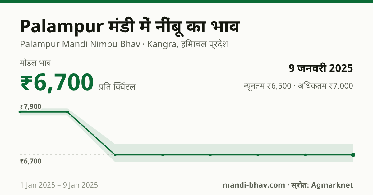 Palampur मंडी में नींबू का भाव 9 जनवरी 2025: मोडल ₹6,700 प्रति क्विंटल, भाव के रुझान का चार्ट