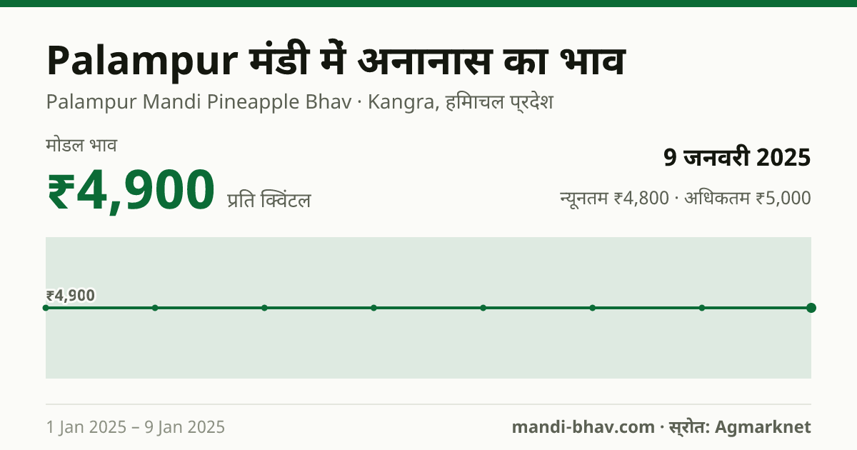 Palampur मंडी में अनानास का भाव 9 जनवरी 2025: मोडल ₹4,900 प्रति क्विंटल, भाव के रुझान का चार्ट