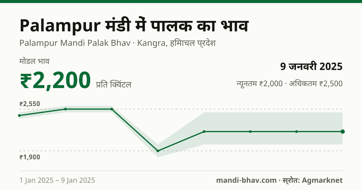 Palampur मंडी में पालक का भाव 9 जनवरी 2025: मोडल ₹2,200 प्रति क्विंटल, भाव के रुझान का चार्ट