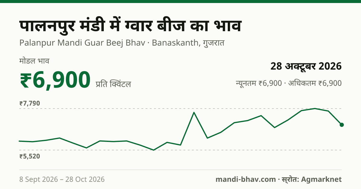 पालनपुर मंडी में ग्वार बीज का भाव 28 अक्टूबर 2026: मोडल ₹6,900 प्रति क्विंटल, भाव के रुझान का चार्ट