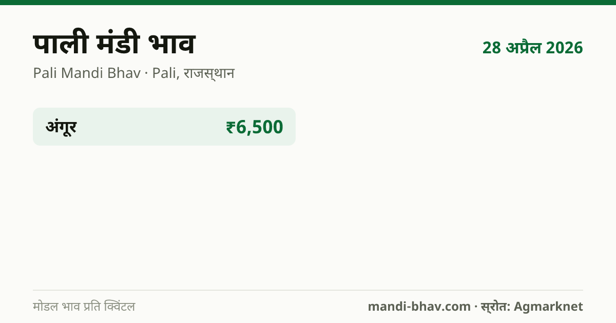 पाली मंडी भाव 28 अप्रैल 2026: फसलवार मोडल रेट प्रति क्विंटल