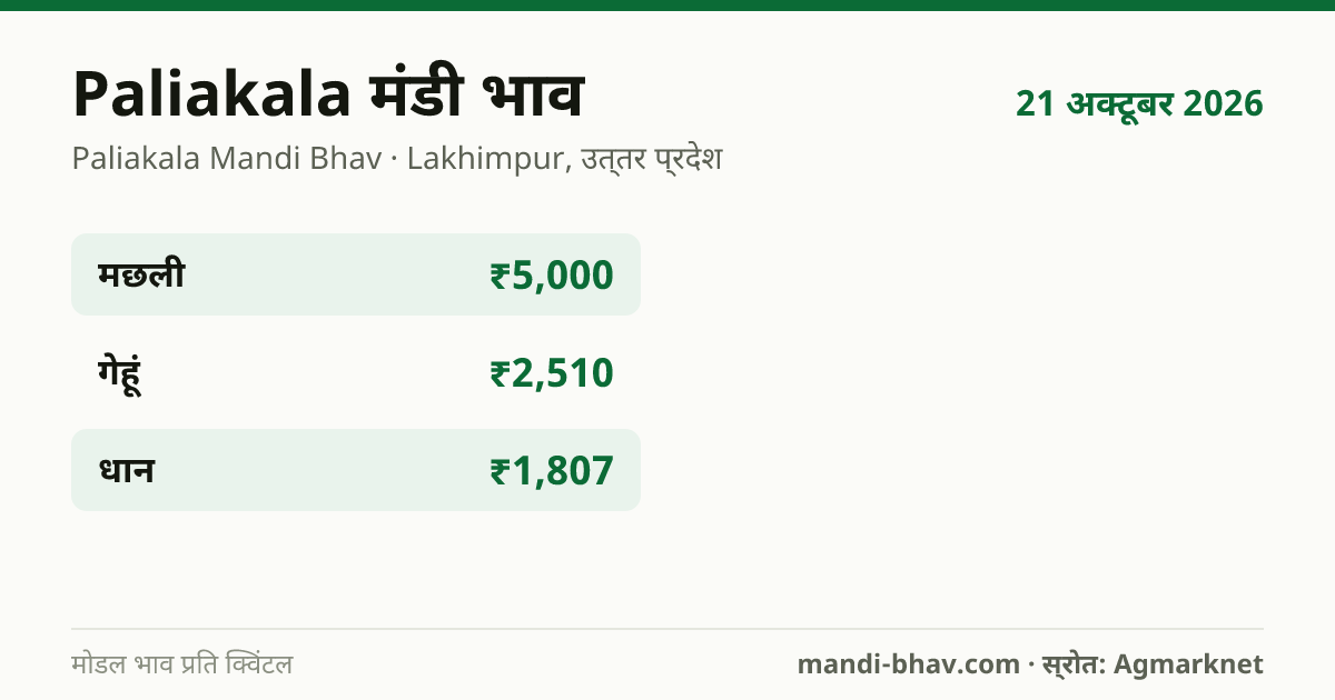 Paliakala मंडी भाव 21 अक्टूबर 2026: फसलवार मोडल रेट प्रति क्विंटल