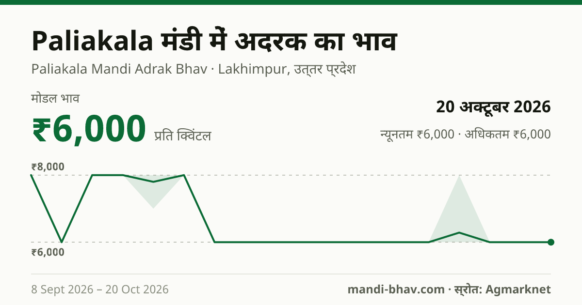 Paliakala मंडी में अदरक का भाव 20 अक्टूबर 2026: मोडल ₹6,000 प्रति क्विंटल, भाव के रुझान का चार्ट