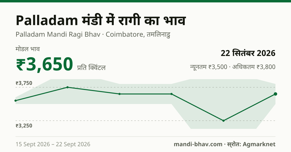 Palladam मंडी में रागी का भाव 22 सितंबर 2026: मोडल ₹3,650 प्रति क्विंटल, भाव के रुझान का चार्ट