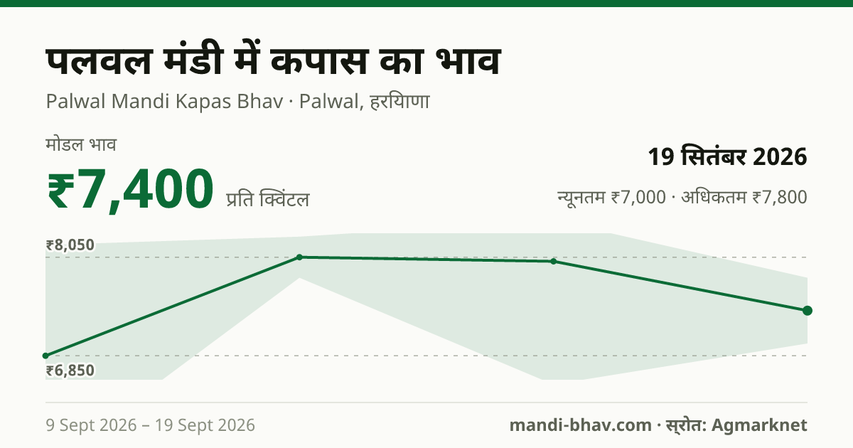 पलवल मंडी में कपास का भाव 19 सितंबर 2026: मोडल ₹7,400 प्रति क्विंटल, भाव के रुझान का चार्ट