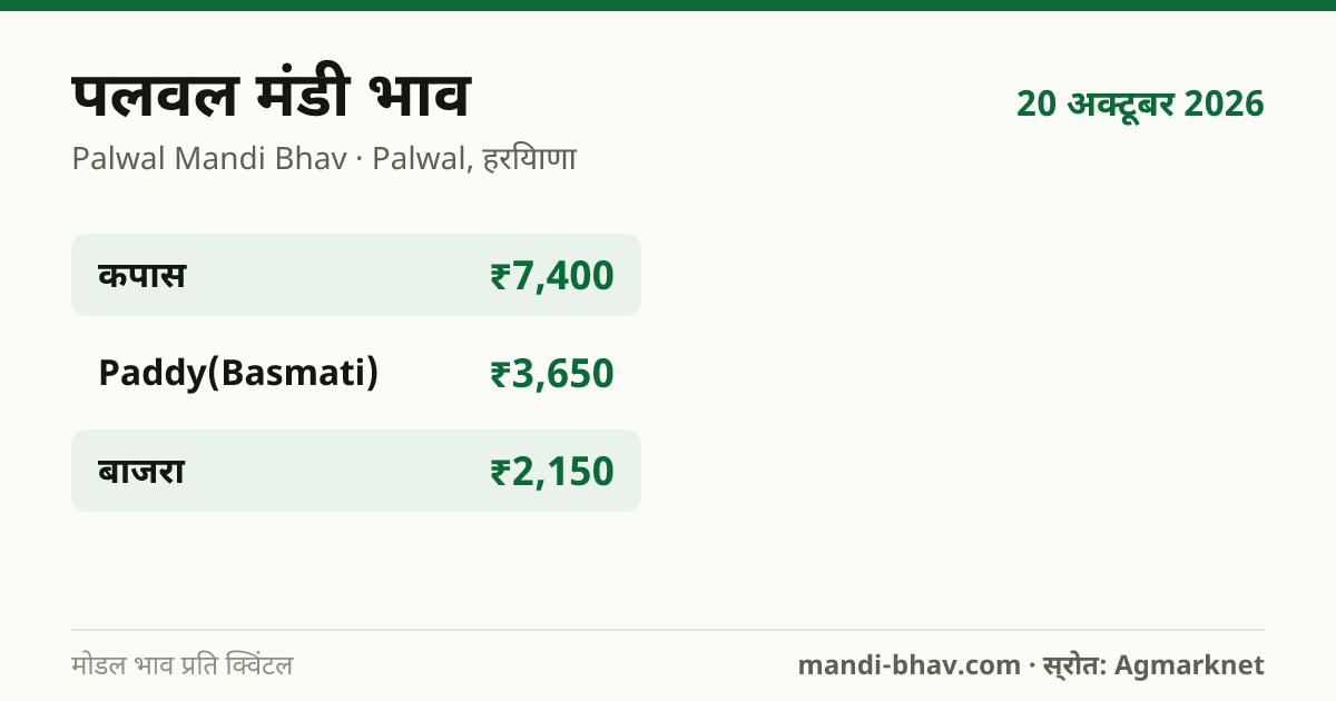 पलवल मंडी भाव 20 अक्टूबर 2026: फसलवार मोडल रेट प्रति क्विंटल