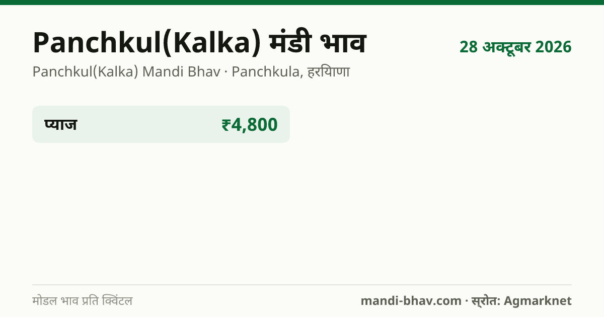 Panchkul(Kalka) मंडी भाव 28 अक्टूबर 2026: फसलवार मोडल रेट प्रति क्विंटल