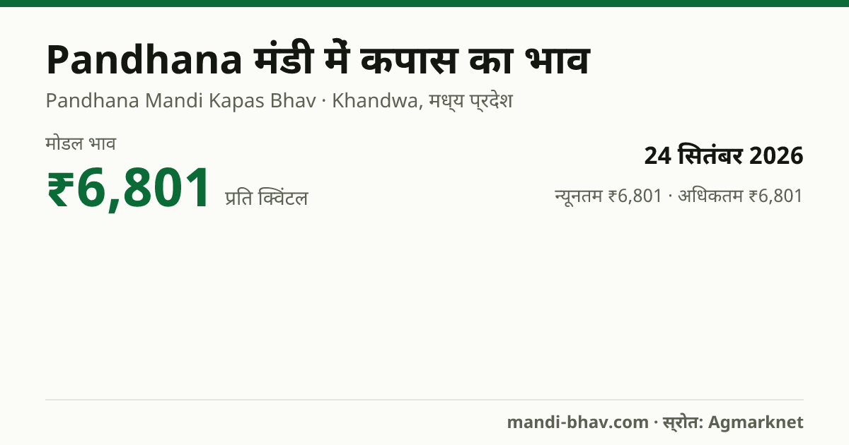 Pandhana मंडी में कपास का भाव 24 सितंबर 2026: मोडल ₹6,801 प्रति क्विंटल, भाव के रुझान का चार्ट