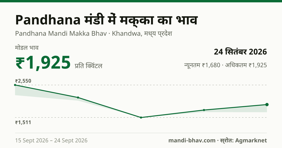 Pandhana मंडी में मक्का का भाव 24 सितंबर 2026: मोडल ₹1,925 प्रति क्विंटल, भाव के रुझान का चार्ट