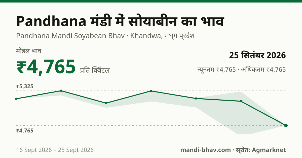 Pandhana मंडी में सोयाबीन का भाव 25 सितंबर 2026: मोडल ₹4,765 प्रति क्विंटल, भाव के रुझान का चार्ट
