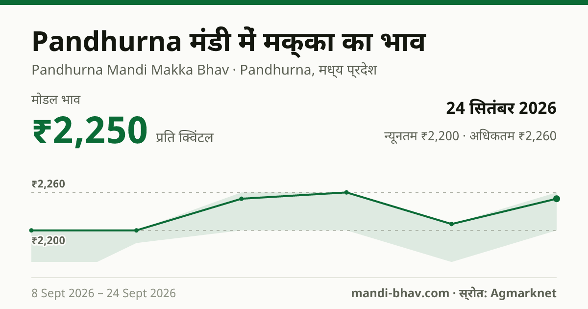 Pandhurna मंडी में मक्का का भाव 24 सितंबर 2026: मोडल ₹2,250 प्रति क्विंटल, भाव के रुझान का चार्ट