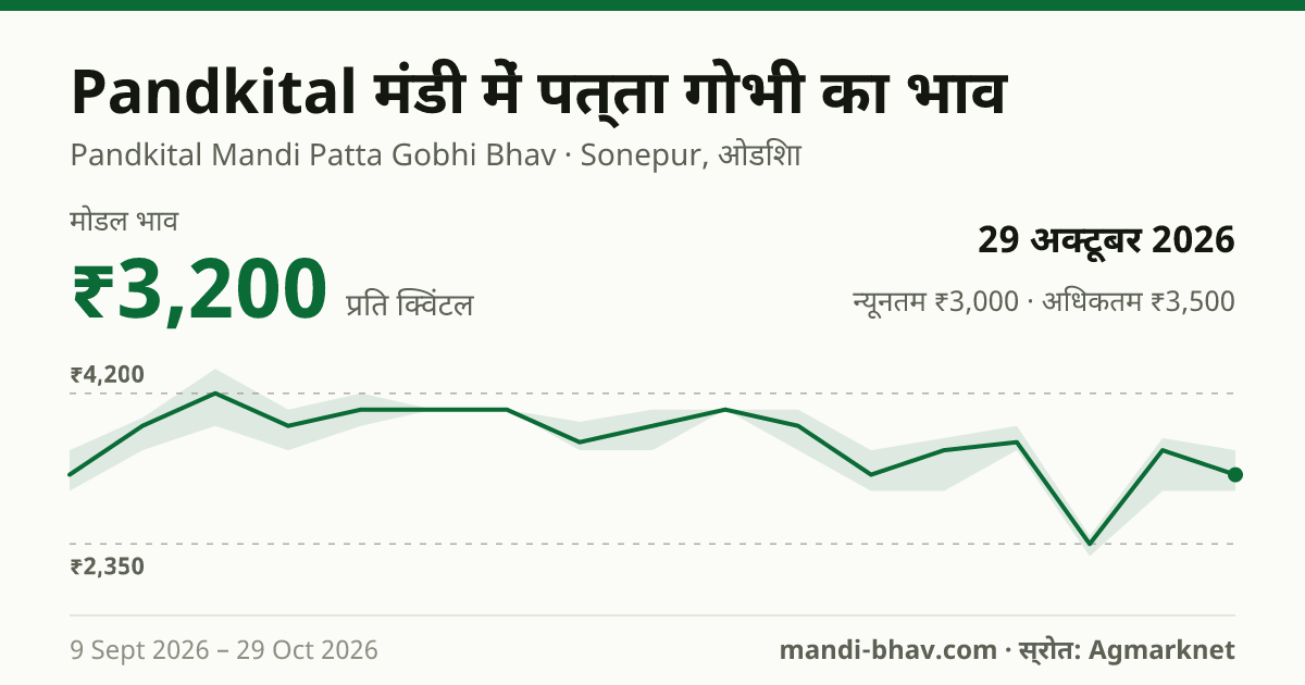 Pandkital मंडी में पत्ता गोभी का भाव 29 अक्टूबर 2026: मोडल ₹3,200 प्रति क्विंटल, भाव के रुझान का चार्ट