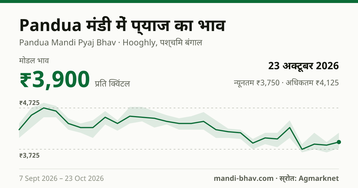 Pandua मंडी में प्याज का भाव 23 अक्टूबर 2026: मोडल ₹3,900 प्रति क्विंटल, भाव के रुझान का चार्ट