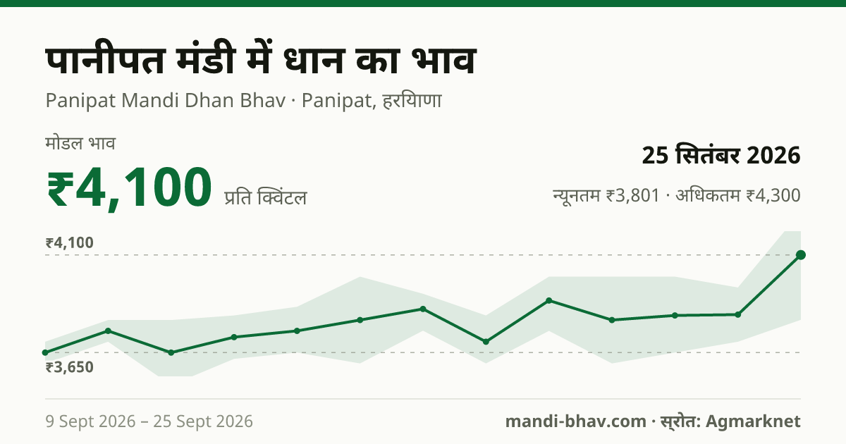 पानीपत मंडी में धान का भाव 25 सितंबर 2026: मोडल ₹4,100 प्रति क्विंटल, भाव के रुझान का चार्ट