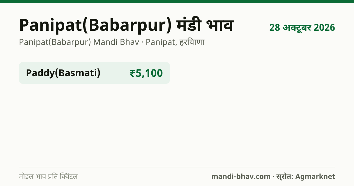Panipat(Babarpur) मंडी भाव 28 अक्टूबर 2026: फसलवार मोडल रेट प्रति क्विंटल