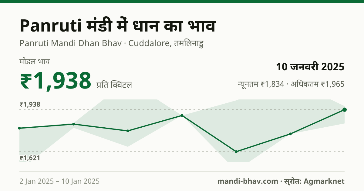 Panruti मंडी में धान का भाव 10 जनवरी 2025: मोडल ₹1,938 प्रति क्विंटल, भाव के रुझान का चार्ट