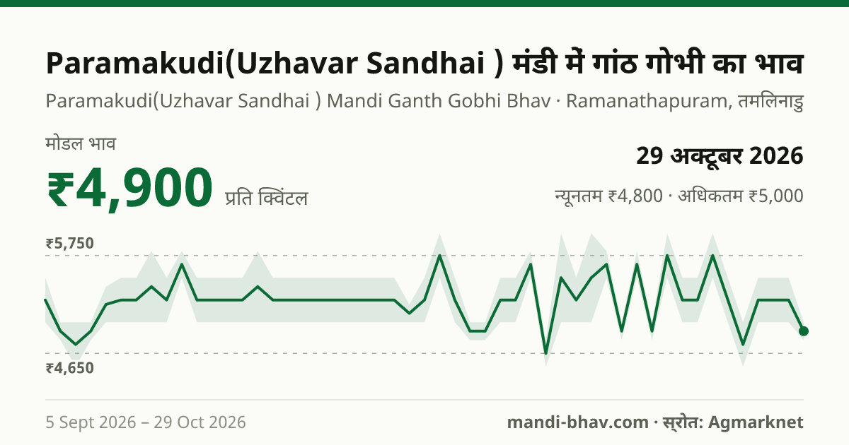 Paramakudi(Uzhavar Sandhai ) मंडी में गांठ गोभी का भाव 29 अक्टूबर 2026: मोडल ₹4,900 प्रति क्विंटल, भाव के रुझान का चार्ट