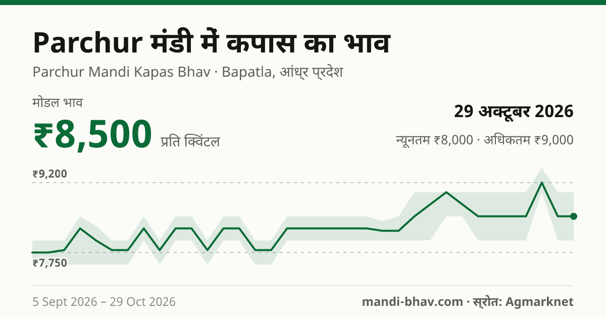 Parchur मंडी में कपास का भाव 29 अक्टूबर 2026: मोडल ₹8,500 प्रति क्विंटल, भाव के रुझान का चार्ट