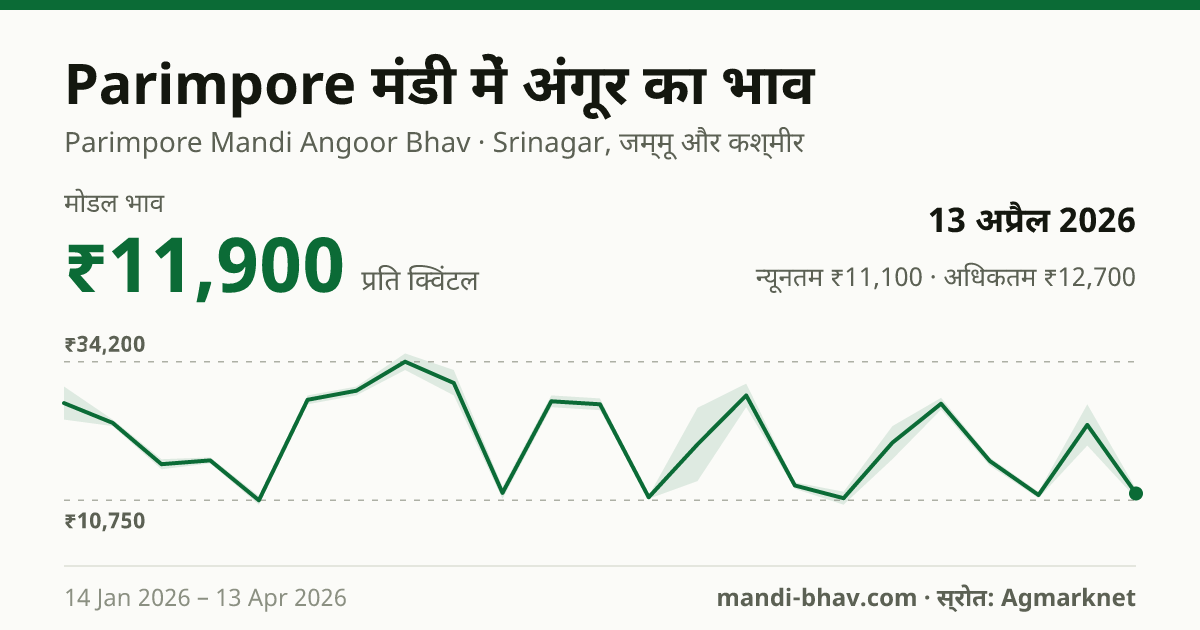 Parimpore मंडी में अंगूर का भाव 13 अप्रैल 2026: मोडल ₹11,900 प्रति क्विंटल, भाव के रुझान का चार्ट