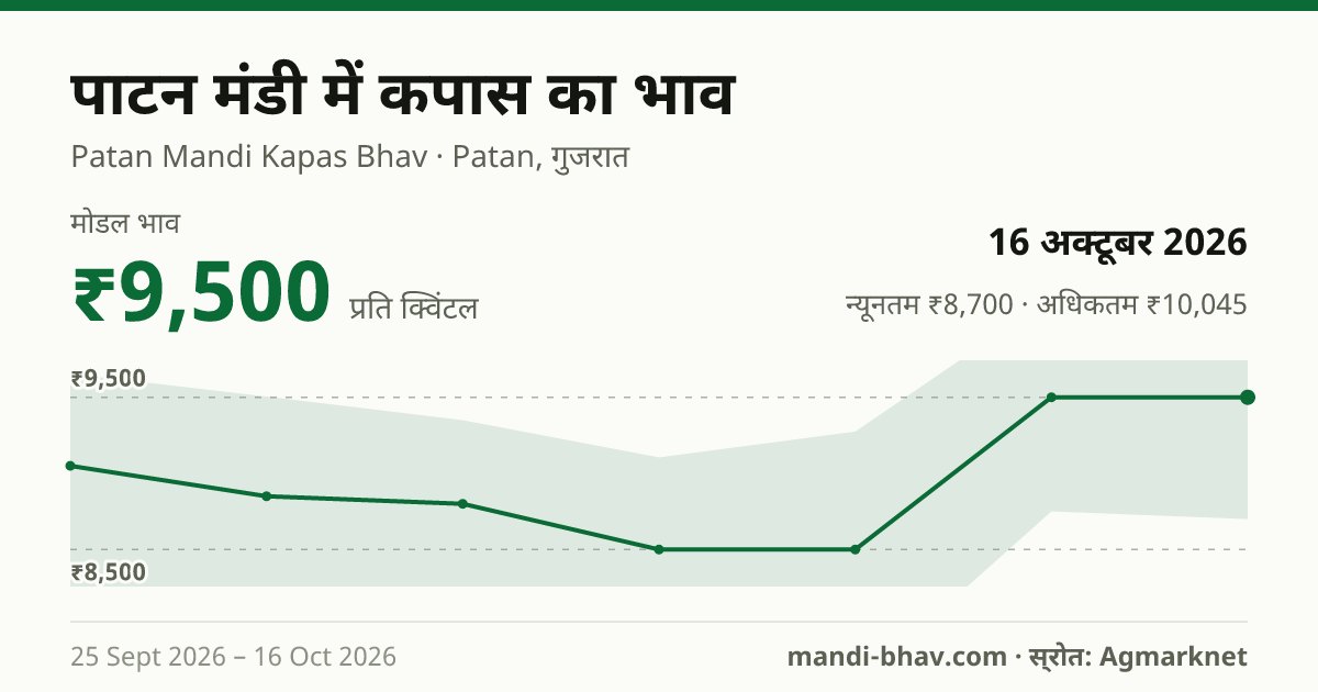 पाटन मंडी में कपास का भाव 16 अक्टूबर 2026: मोडल ₹9,500 प्रति क्विंटल, भाव के रुझान का चार्ट