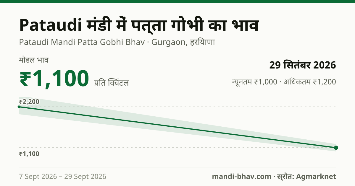 Pataudi मंडी में पत्ता गोभी का भाव 29 सितंबर 2026: मोडल ₹1,100 प्रति क्विंटल, भाव के रुझान का चार्ट