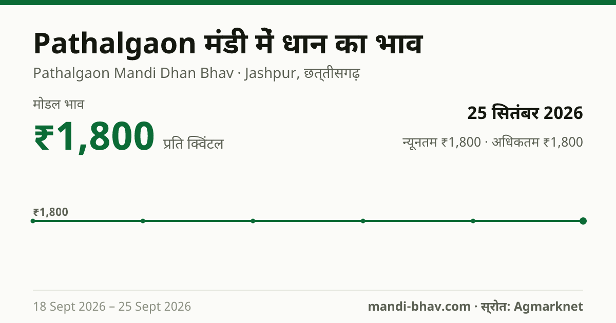Pathalgaon मंडी में धान का भाव 25 सितंबर 2026: मोडल ₹1,800 प्रति क्विंटल, भाव के रुझान का चार्ट