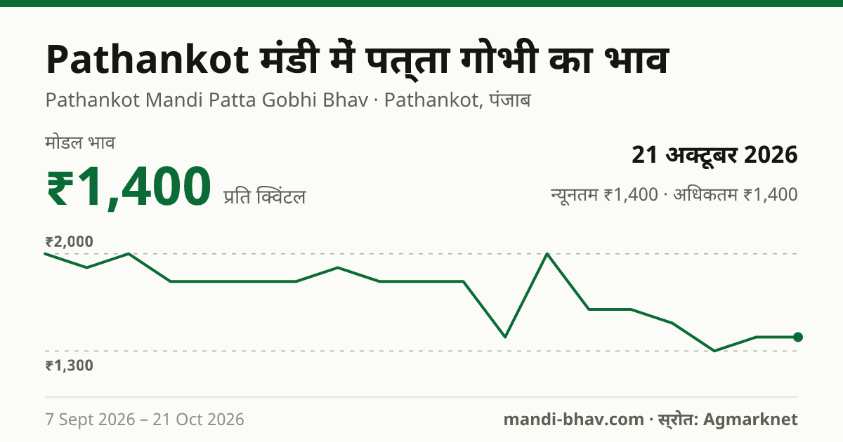 Pathankot मंडी में पत्ता गोभी का भाव 21 अक्टूबर 2026: मोडल ₹1,400 प्रति क्विंटल, भाव के रुझान का चार्ट
