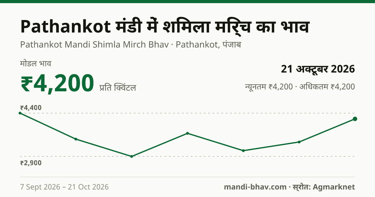 Pathankot मंडी में शिमला मिर्च का भाव 21 अक्टूबर 2026: मोडल ₹4,200 प्रति क्विंटल, भाव के रुझान का चार्ट