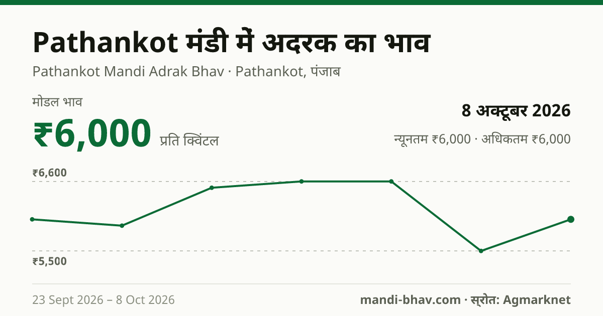 Pathankot मंडी में अदरक का भाव 8 अक्टूबर 2026: मोडल ₹6,000 प्रति क्विंटल, भाव के रुझान का चार्ट