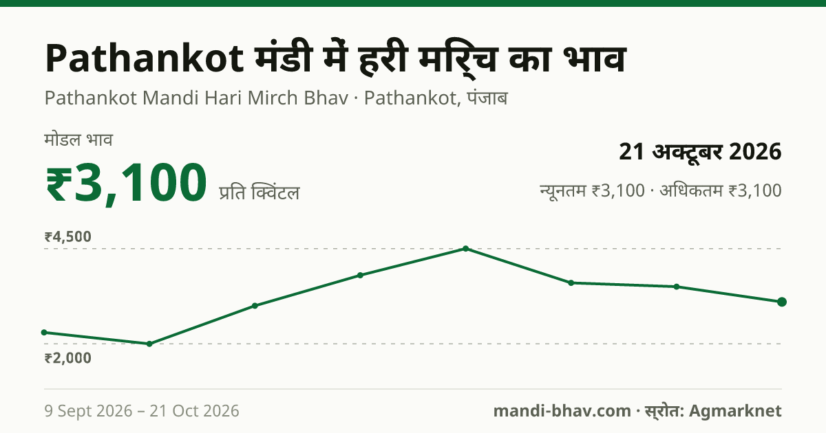 Pathankot मंडी में हरी मिर्च का भाव 21 अक्टूबर 2026: मोडल ₹3,100 प्रति क्विंटल, भाव के रुझान का चार्ट