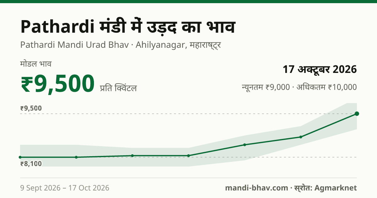 Pathardi मंडी में उड़द का भाव 17 अक्टूबर 2026: मोडल ₹9,500 प्रति क्विंटल, भाव के रुझान का चार्ट