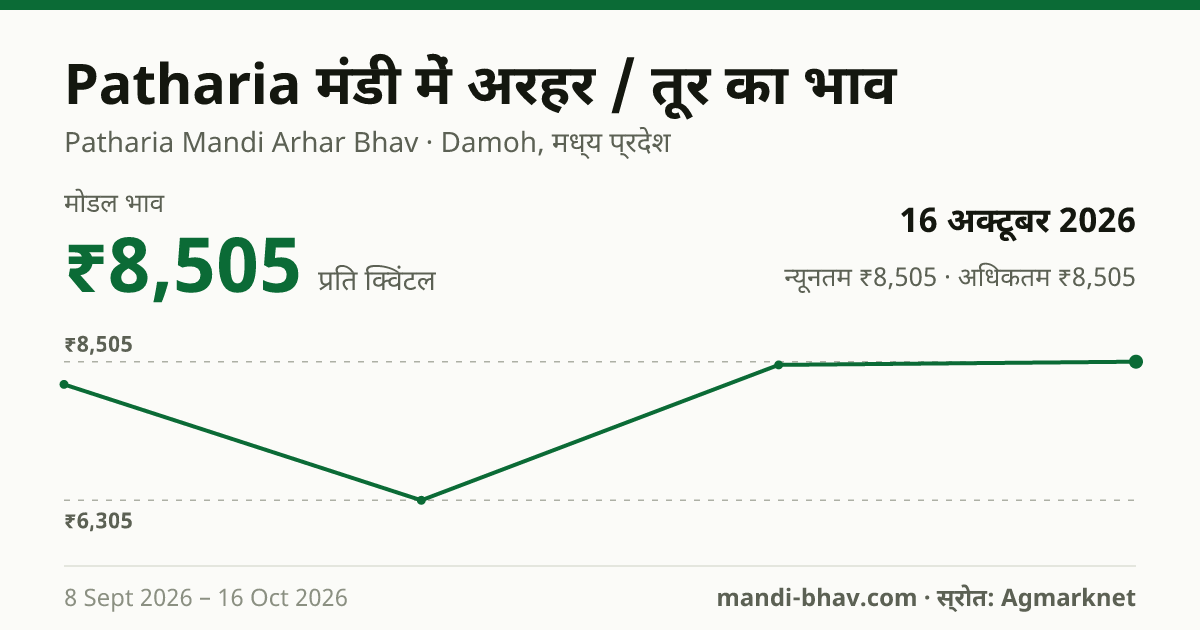 Patharia मंडी में अरहर / तूर का भाव 16 अक्टूबर 2026: मोडल ₹8,505 प्रति क्विंटल, भाव के रुझान का चार्ट