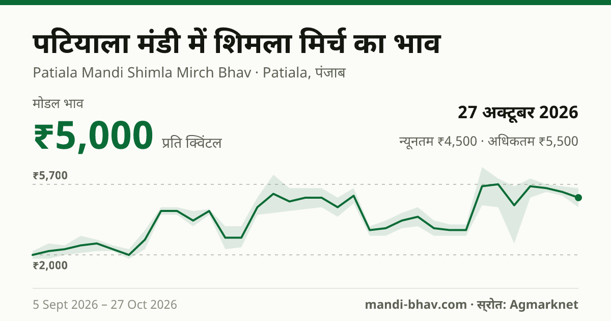 पटियाला मंडी में शिमला मिर्च का भाव 27 अक्टूबर 2026: मोडल ₹5,000 प्रति क्विंटल, भाव के रुझान का चार्ट
