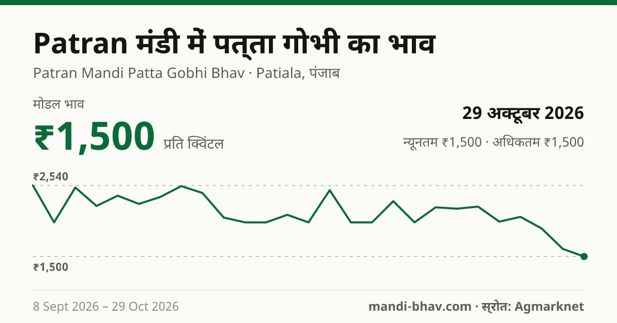 Patran मंडी में पत्ता गोभी का भाव 29 अक्टूबर 2026: मोडल ₹1,500 प्रति क्विंटल, भाव के रुझान का चार्ट