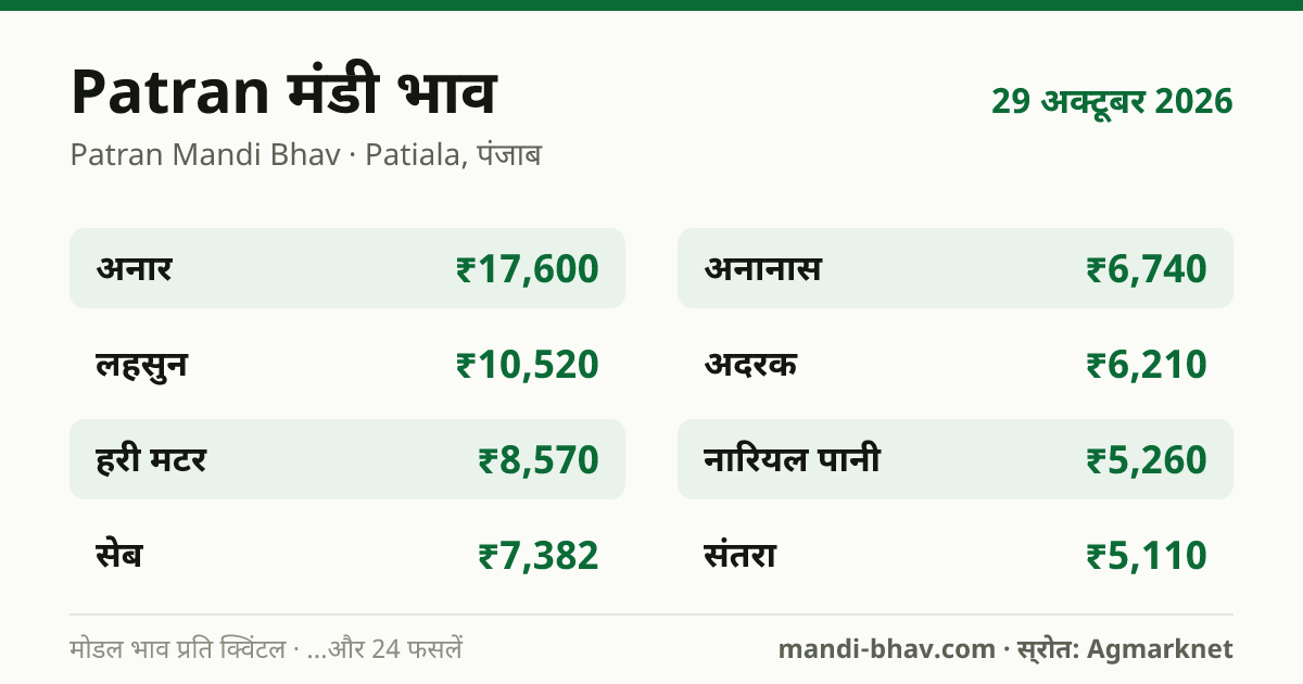 Patran मंडी भाव 29 अक्टूबर 2026: फसलवार मोडल रेट प्रति क्विंटल