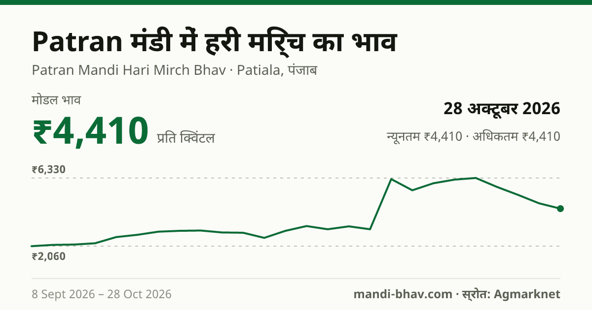 Patran मंडी में हरी मिर्च का भाव 28 अक्टूबर 2026: मोडल ₹4,410 प्रति क्विंटल, भाव के रुझान का चार्ट