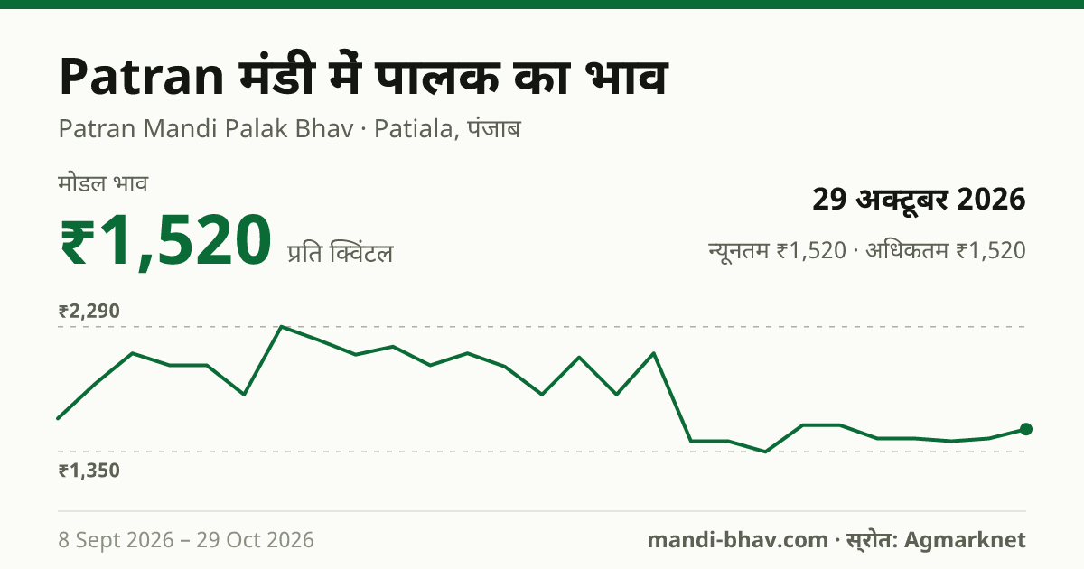 Patran मंडी में पालक का भाव 29 अक्टूबर 2026: मोडल ₹1,520 प्रति क्विंटल, भाव के रुझान का चार्ट