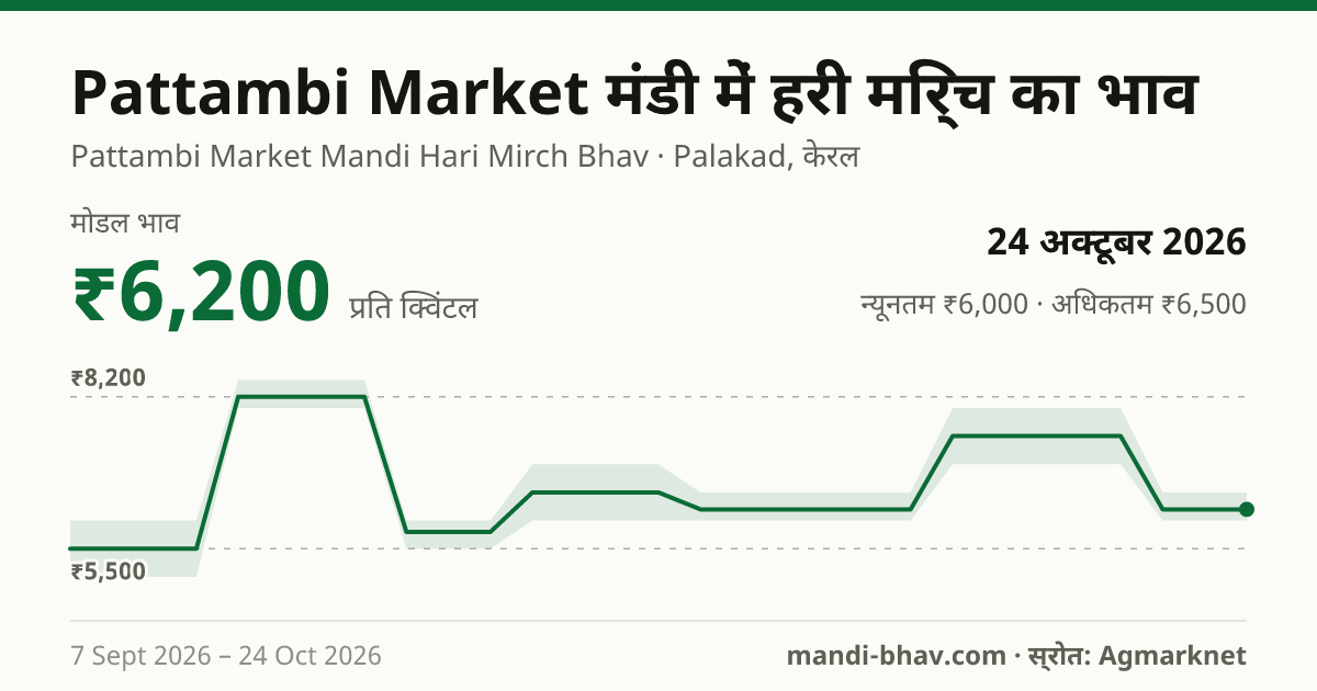 Pattambi Market मंडी में हरी मिर्च का भाव 24 अक्टूबर 2026: मोडल ₹6,200 प्रति क्विंटल, भाव के रुझान का चार्ट