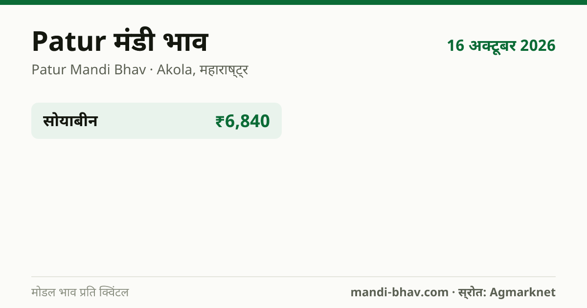 Patur मंडी भाव 16 अक्टूबर 2026: फसलवार मोडल रेट प्रति क्विंटल