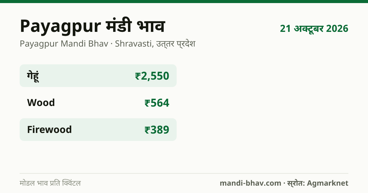 Payagpur मंडी भाव 21 अक्टूबर 2026: फसलवार मोडल रेट प्रति क्विंटल