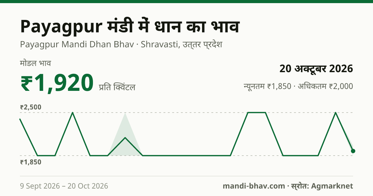 Payagpur मंडी में धान का भाव 20 अक्टूबर 2026: मोडल ₹1,920 प्रति क्विंटल, भाव के रुझान का चार्ट