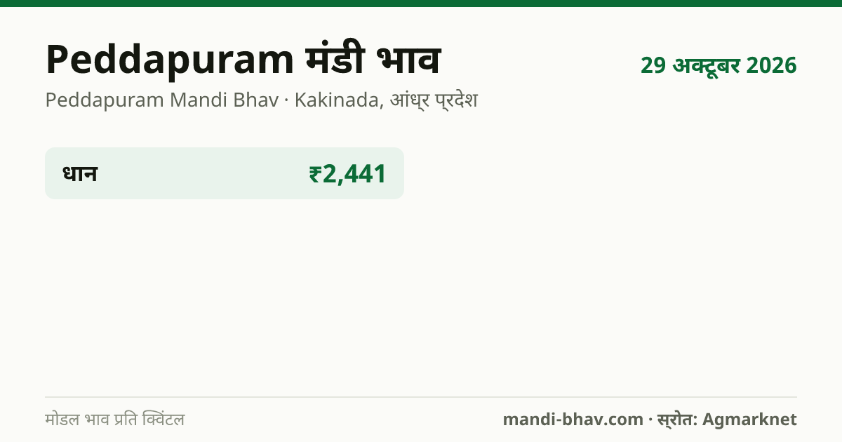 Peddapuram मंडी भाव 29 अक्टूबर 2026: फसलवार मोडल रेट प्रति क्विंटल