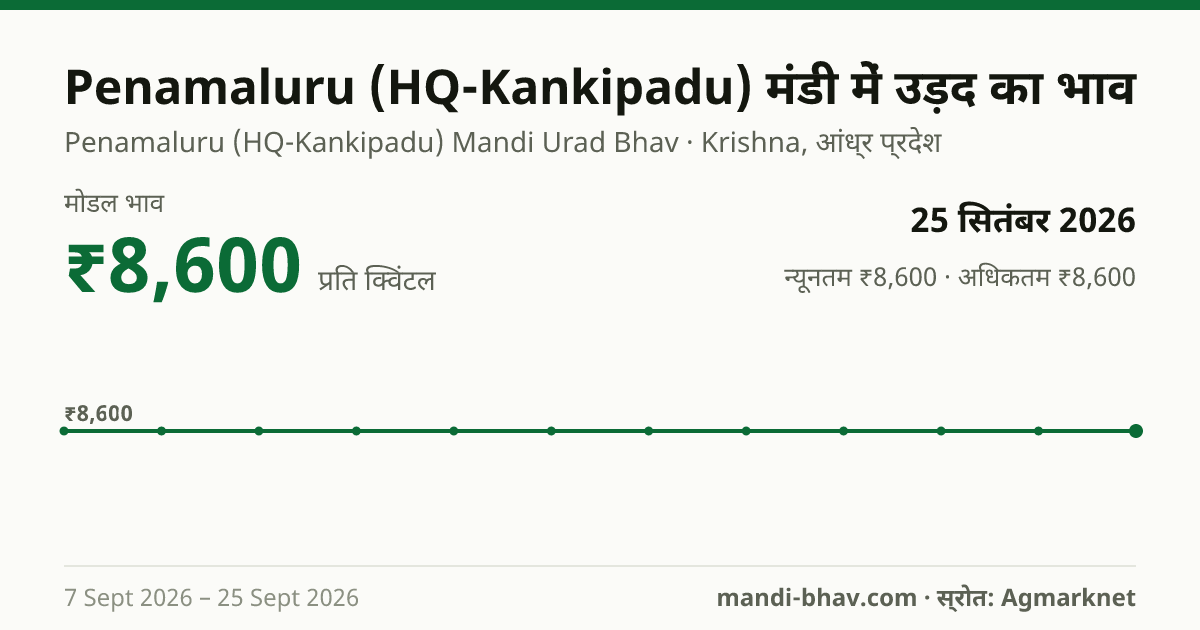 Penamaluru (HQ-Kankipadu) मंडी में उड़द का भाव 25 सितंबर 2026: मोडल ₹8,600 प्रति क्विंटल, भाव के रुझान का चार्ट
